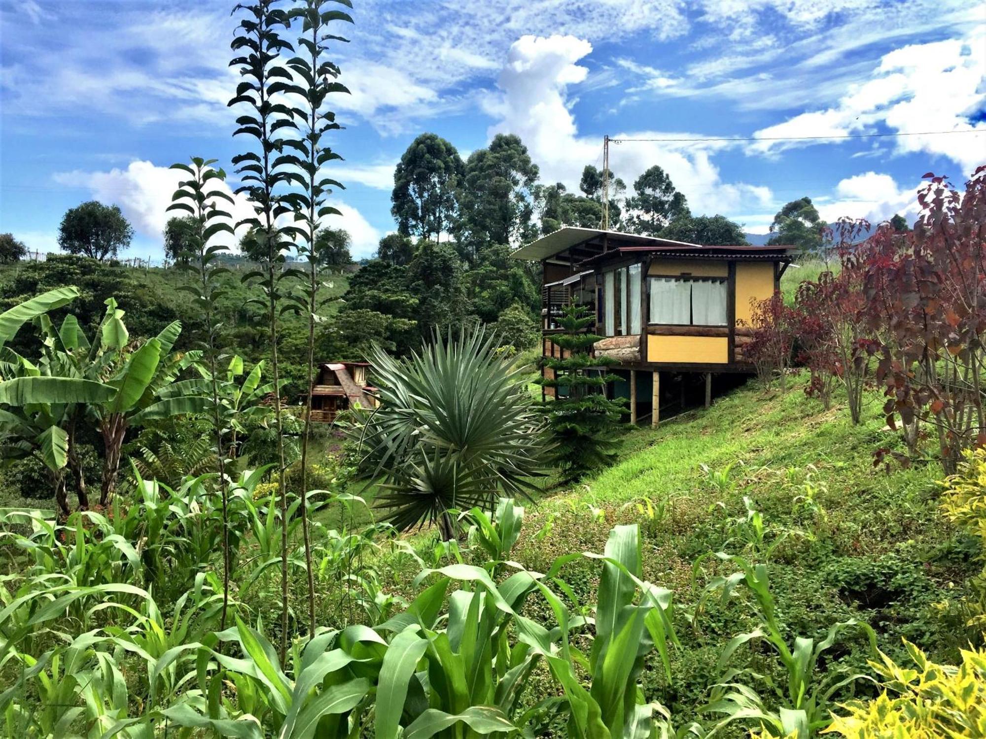 Hotel Cantaros Glamping Santa Rosa de Cabal Exterior foto